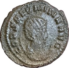 Amazing Lot Of 12 Ancient Roman Coins 🤩