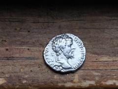 RARE FRAMED WOOD MATTED SILVER ROMAN EMPEROR SEPTIMIUS SEVERUS COIN BLACK CAESAR