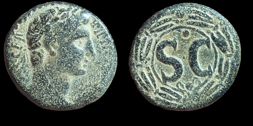 Roman Imperial Bronze Seleucia & Pieria, Antioch, Augustus 27BC-14AD Bronze 15g
