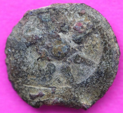 Widows Mite Coin Holy Land Artifact Free Display Card Jesus Christ Lifetime 132