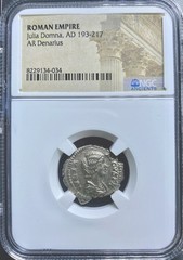 Empress Julia Domna NGC Genuine Silver Denarius Ancient Roman Coin 193-217 AD