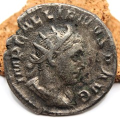 Roman Imperial | Gallienus | AR Antoninianus | 257-258 AD | Viminacium | SALVS