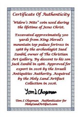 ORIGINAL Desert Patina 2 Widows Mites Herods Hoard Holy Land Artifact COA A13