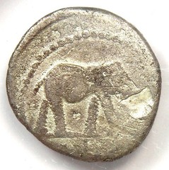 Julius Caesar AR Denarius Silver Elephant Coin 49 BC – Certified NGC AG