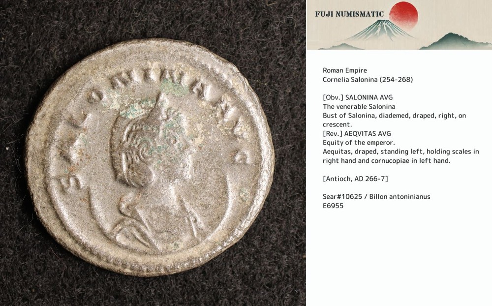 *Salonina, Ancient Roman Coin w/ Description Card, Billon Silver[E6955]7n7