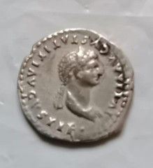 Juulia Titi ( Daughter of Titus) AR Denarius, Rome AD 80/81