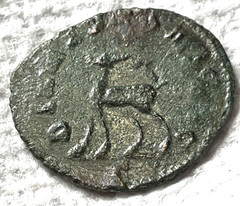 Ancient Roman Empire Coin Gallienus AE 261-262 AD. Stag Deer Antelope Wildlife