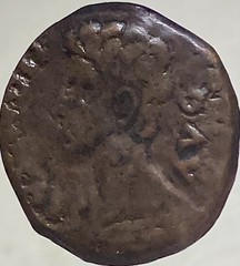 Emperor Octavian Augustus 19BC-14AD Colonia Patricia Province Ancient Roman Coin
