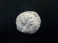 Denarius Julia Domna, AD 193-217, S, Silver