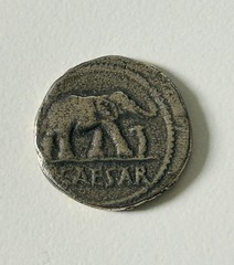 Julius Caesar AR Denarius Silver Elephant Coin 44 BC WRL Westair Collectible