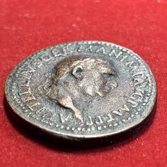 vitellius Ad69 Ae As “Paduan” After Giovani Cavino Rev Pax Augusti Scarce Piece