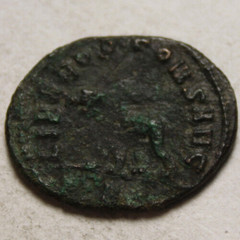 Rare genuine Ancient Roman coin Antoninianus Gallienus 261 AD Rome mint Panther