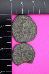 2 Nice Widows Mite Coins Holy Land Artifact Display Card Export Permit COA @L858