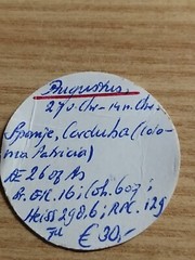 Roman Empire Augustus Ae 26 Spain Colony Patricia Mb Munthandel Auction