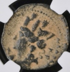 Antoninus Pius Ancient Roman Coin 138AD-161AD Tyche NGC Genuine Authentic