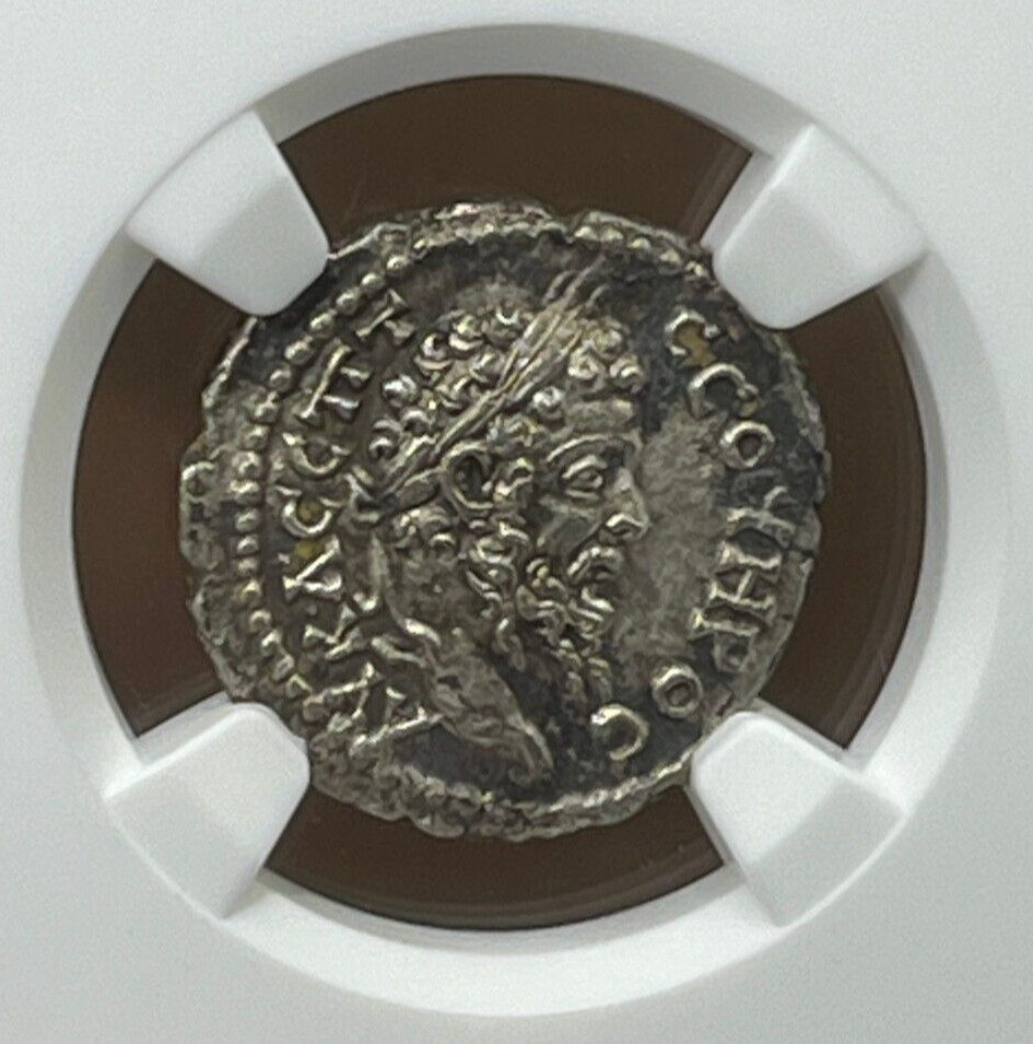 Septimius Severus AR Drachm Silver Roman Coin AD 193-211, NGC Choice XF