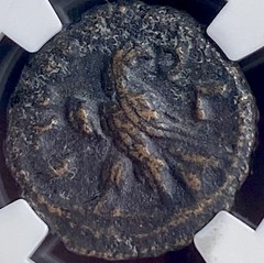 Egyptian Roman Emperor Diocletian NGC Genuine Ancient Coin 284-305AD Tetradrachm