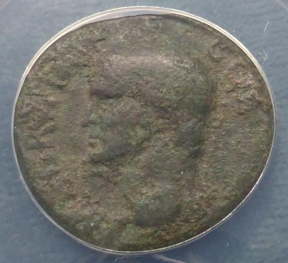 Caligula for Agrippa AE AS Rome Mint Ancient, AD 37-41 ANACS F15, Fine 15 Coin