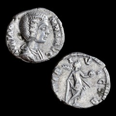 Julia Domna AR Denarius 193-196 AD Rome Venus Ancient Roman Silver Coin