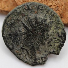 Roman Imperial | Gallienus | AE Antoninianus | Rome | PEGASUS | ZOO SERIES | SOL