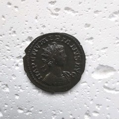 Numerian ( AD 283 – 284) Antoninianus, Lugdunum ,Lyons