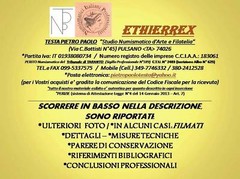 Impero Romano (Costantino II) Medio Centenionale
