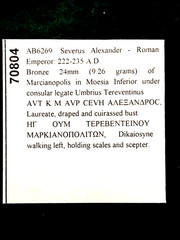 Roman Bronze Coin. SEVERUS ALEXANDER, COA,222-235 AD,Scales Scepter 24mm, 9.26gr