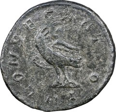 EMPIRE Emperor Divus Carus & Eagle NGC Choice Lugdunum Ancient Roman Coin D1319