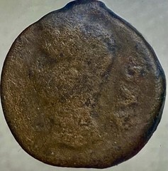 14BC-10BC Emperor Augustus Ancient Roman coin Julia Traducta Octavian Genuine
