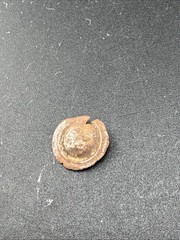 Roman times (circa 1st century BCE – 4th century CE) Ancient Roman Copper Button