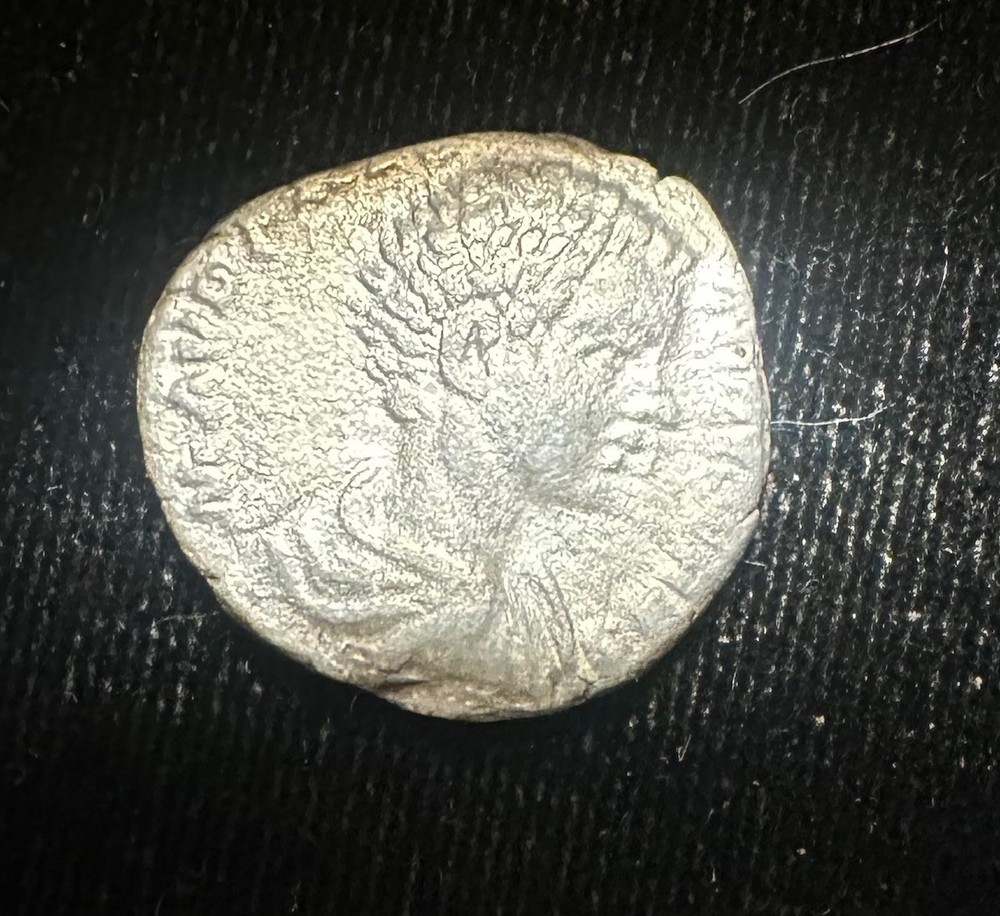 Roman Silver Denarius – Rome 198-209 AD – Geta
