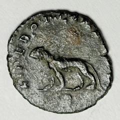 EMPIRE Gallienus & Panther c 260-268 AD Antoninianus Ancient Roman Coin Old D996