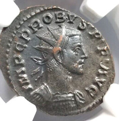 Probus Roman Empire NGC Ch AU Aurelianianus Soldier Spear Shield Branch Come Sav