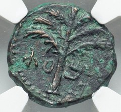 BAR KOKHBA Kochba 132-135, Jewish War Revolt Yr 3, Judaea SMALL Bronze NGC Ch VF