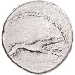 [#1170967] Coin, Postumia, Denarius, 74 BC, Rome, VF(30-35), Silver, Crawford:39
