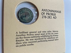 Emperor Antoninianus of Probus Ancient Roman Coin 276 – 282 AD