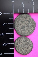 2 Nice Widows Mite Coins Holy Land Artifact Display Card Export Permit COA @L827