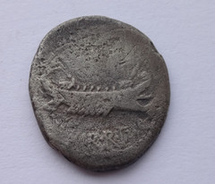 Mark Antony (32-31 BC), Denarius