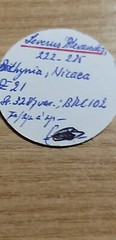Severo alessandro Ae21 Nicaea Bithynia BB+ Rare Munthandel Auction