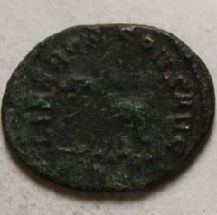 Rare genuine Ancient Roman coin Antoninianus Gallienus 261 AD Rome mint Panther