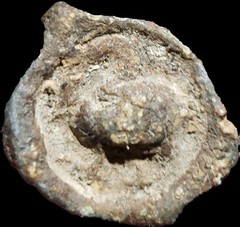 Byzantine Roman PB Seal 100BC-500 AD. Swan .Very Rare