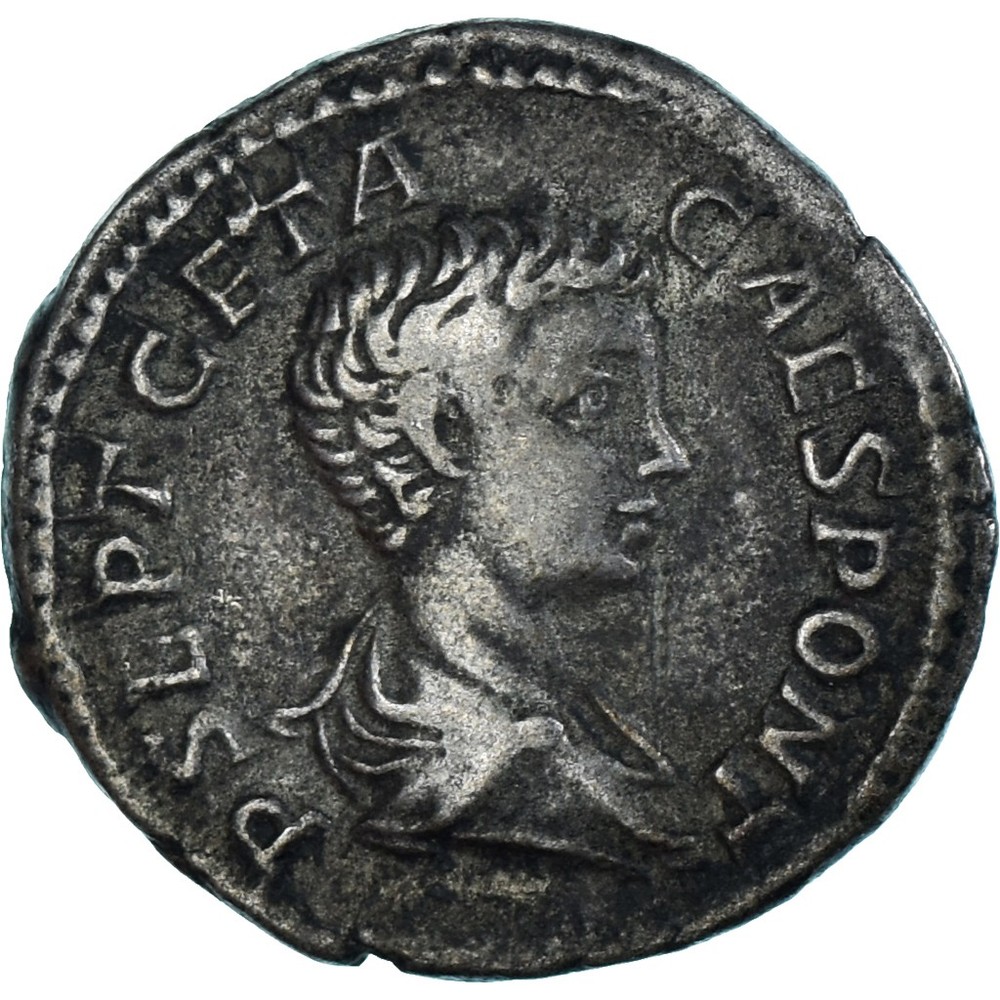 [#1172325] Coin, Geta, Denarius, 200-202, Rome, EF, Silver, RIC:13, a