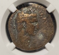Ngc AUTHENTICATED Nerva (96-98AD) Antioch Æ28