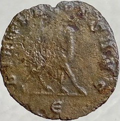 Camel Reverse Scarce Type Roman Empire Coin 260AD-268AD Gallienus Zoo Series