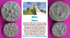 ORIGINAL Desert Patina 2 Widows Mites Herods Hoard Holy Land Artifact COA A01