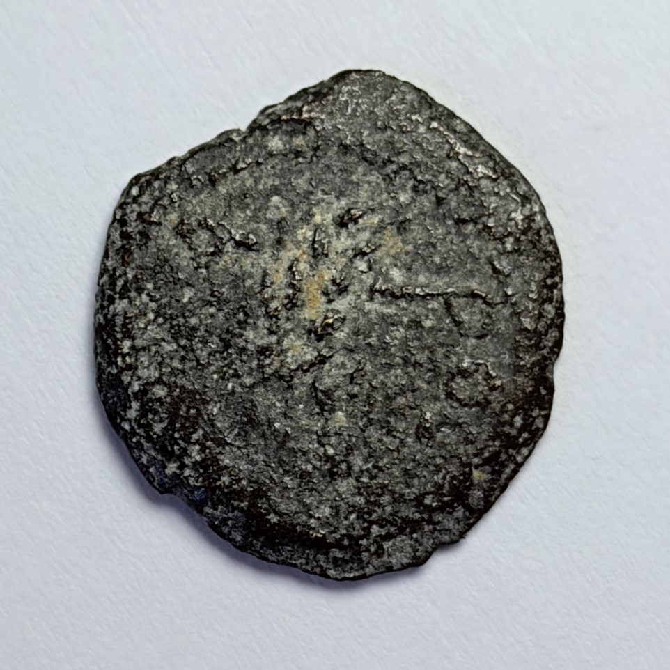 JUDEA Prutah Procurator COPONIUS Barley & Palm Augustus Ancient Jewish Coin 1364
