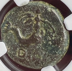 44BC-25 BC Roman Baetica Carteia Fortuna Cupid on Dolphin NGC Graded Rare Coin