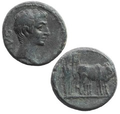 Ancient Roman provincial coin of Augustus. Founding scene with oxen.