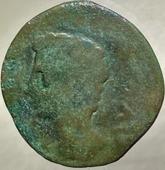 Emperor Octavian Augustus 14BC-10BC Ancient Roman Province Julia Traducta Coin