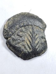 AE Prutah Porcius Festus ROMAN GOV. OF JUDEA 52- 60 A.D. Palm Branch